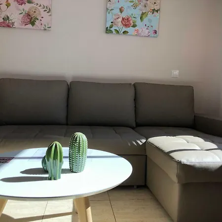 Apartment Javicenter Arrecife (Lanzarote)