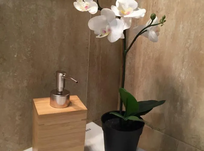 Javicenter Arrecife (Lanzarote)