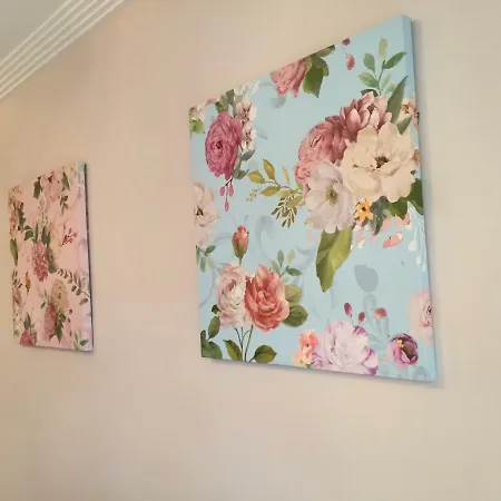 Javicenter * ארסיפה