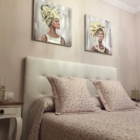 Javicenter ארסיפה