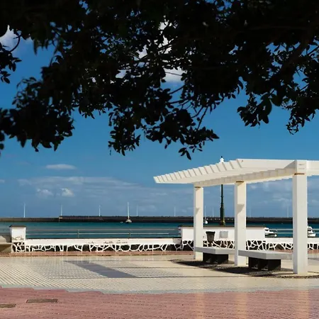 Javicenter ארסיפה